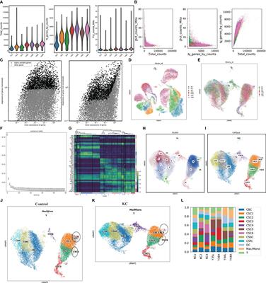 Identification of the immune-associated characteristics and predictive biomarkers of keratoconus based on single-cell RNA-sequencing and bulk RNA-sequencing